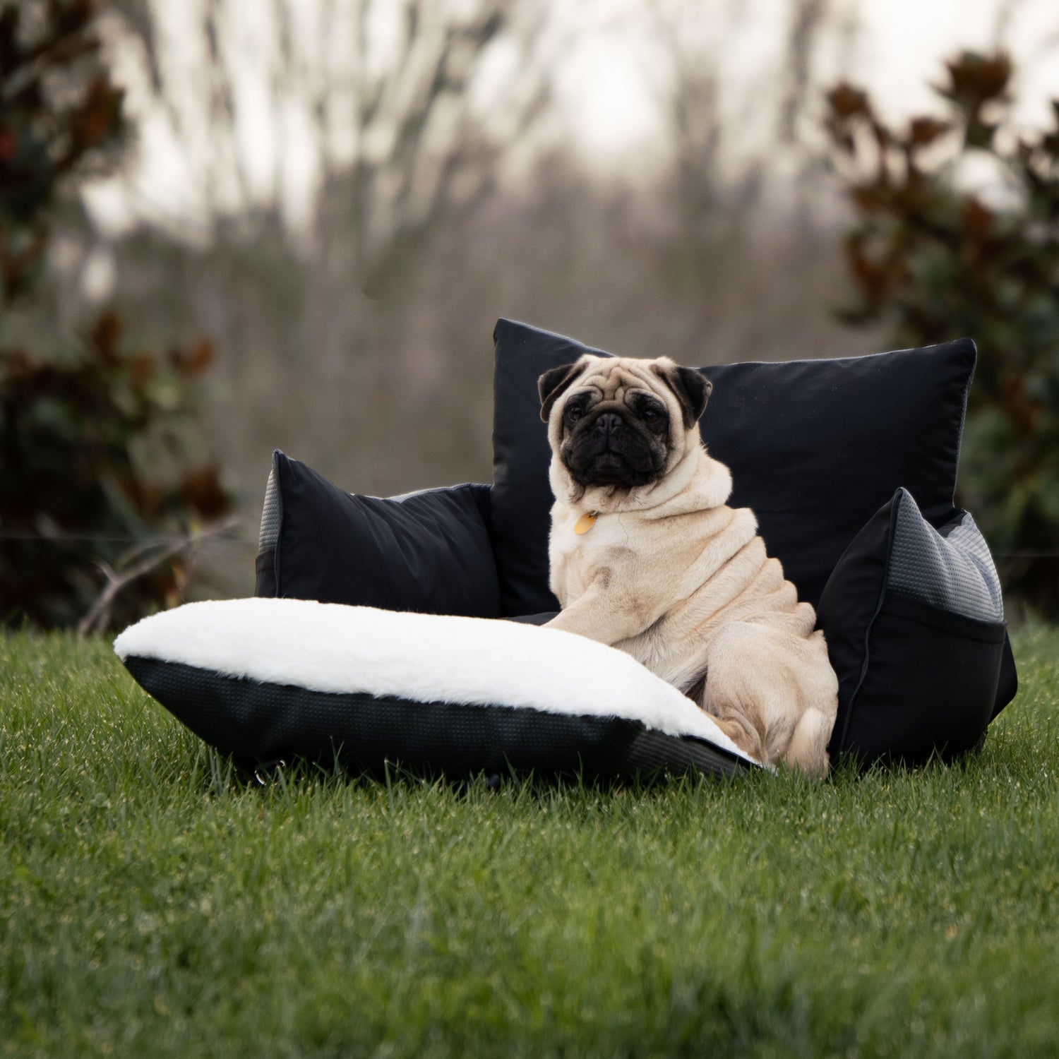 outdoor dog bed pug